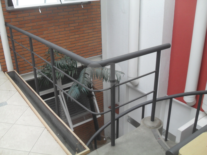 Foto REO367269