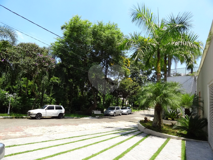 Foto REO367536