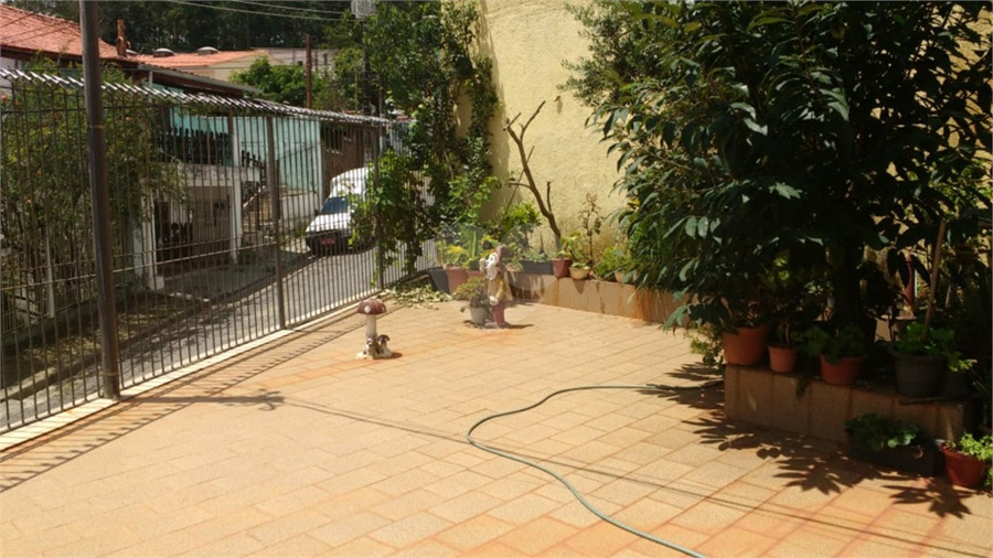 Foto REO367818