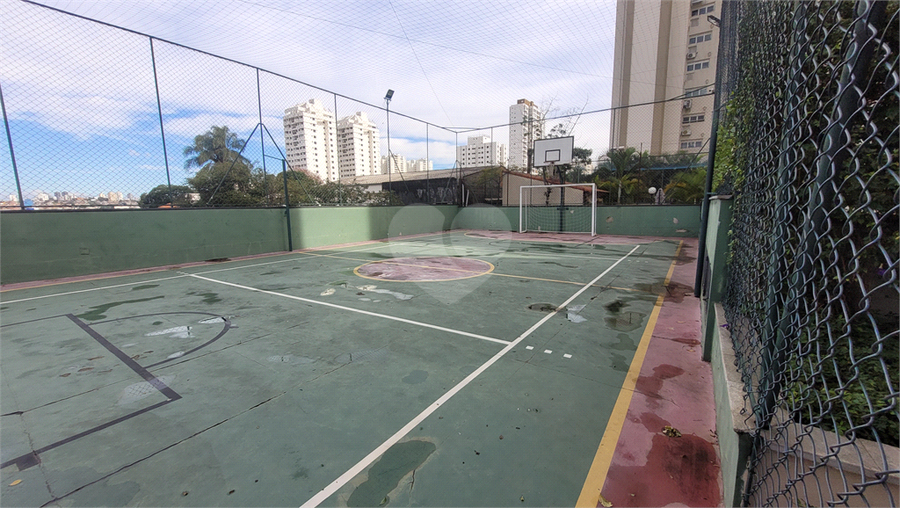 Foto REO36794