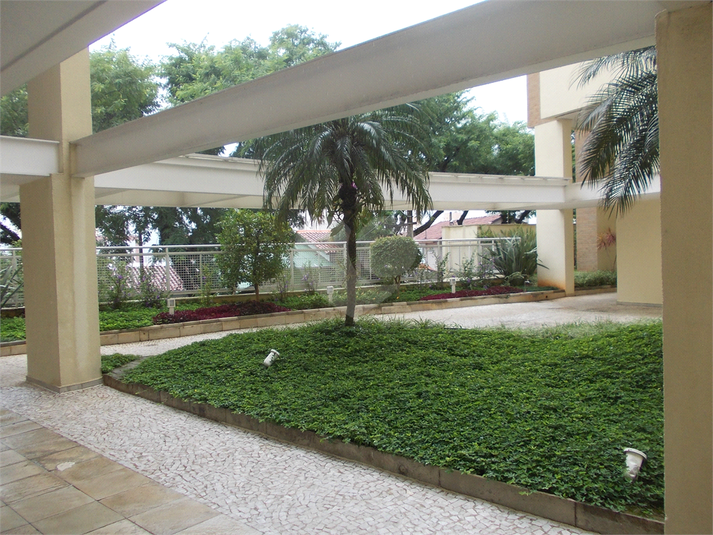 Foto REO368038