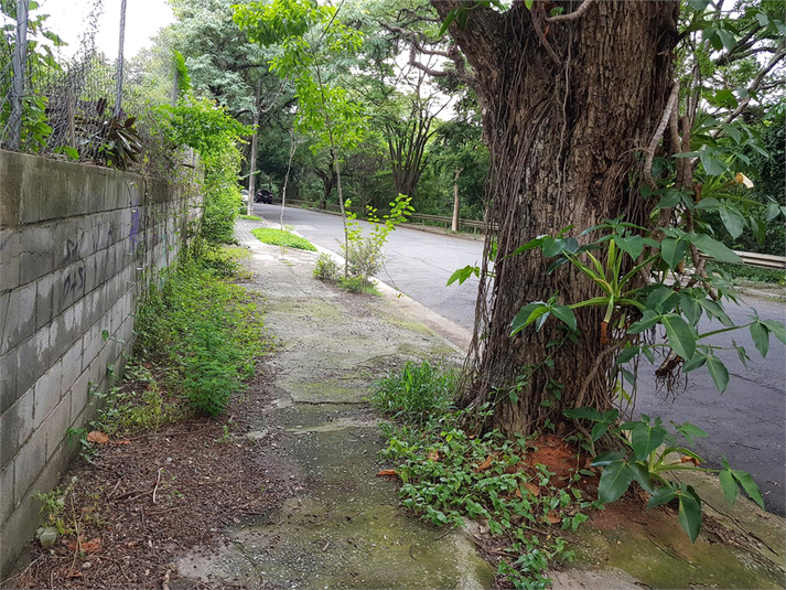 Venda Terreno São Paulo Boaçava REO368061 11