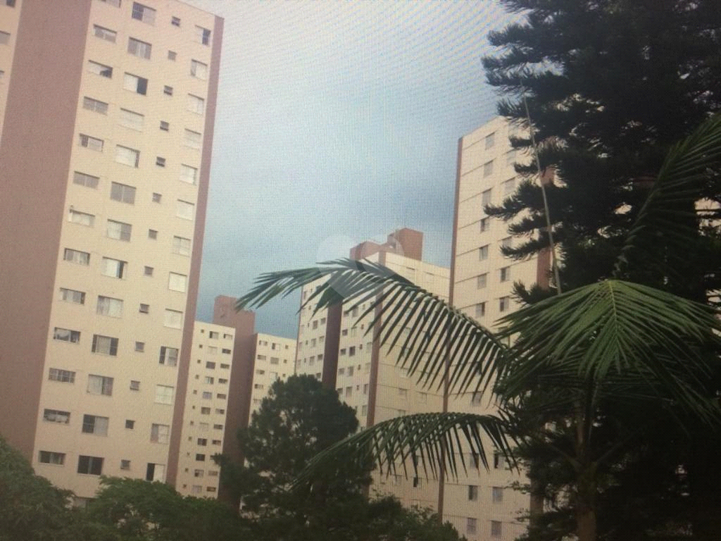 Venda Apartamento São Paulo Jardim Peri REO368577 2