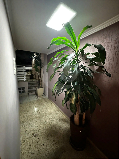 Venda Sobrado São Paulo Jardim Da Saúde REO369026 20