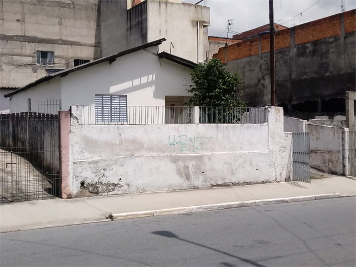 Foto REO369832