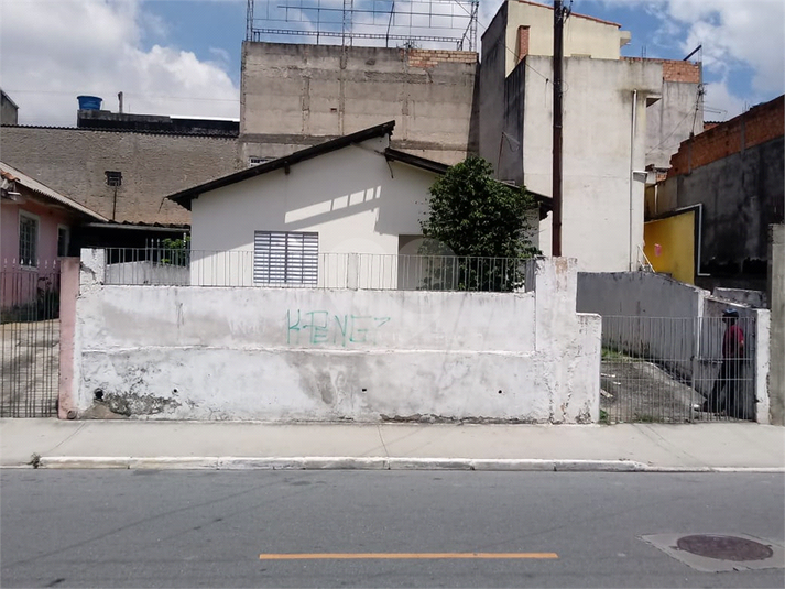 Foto REO369832
