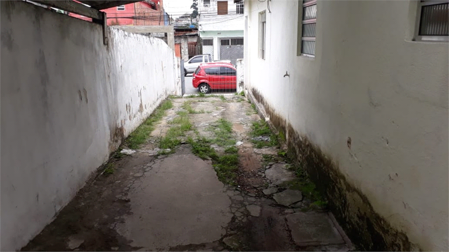 Foto REO369832