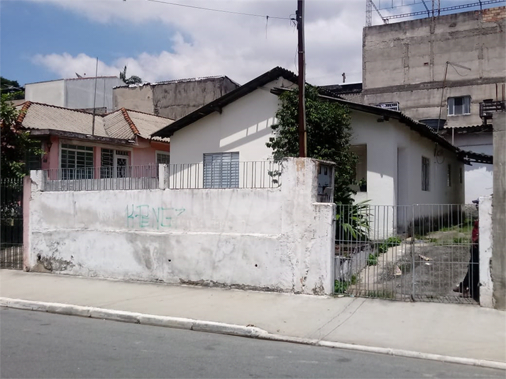 Foto REO369832