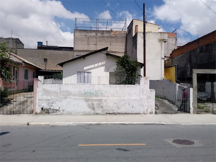 Foto REO369832