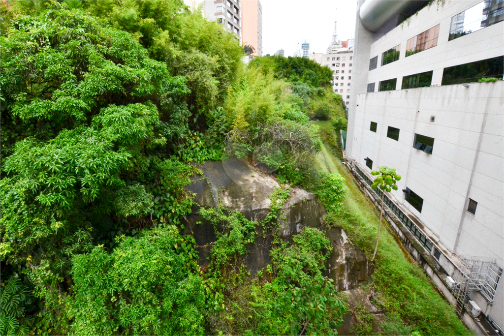 Venda Apartamento São Paulo Bela Vista REO369847 8