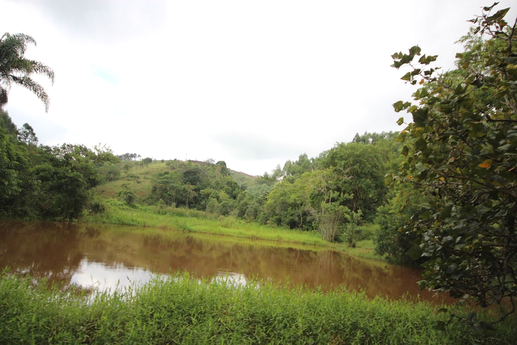 Venda Sítio Santa Isabel Centro REO370138 143