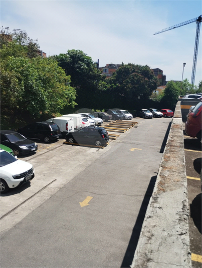 Foto REO370159