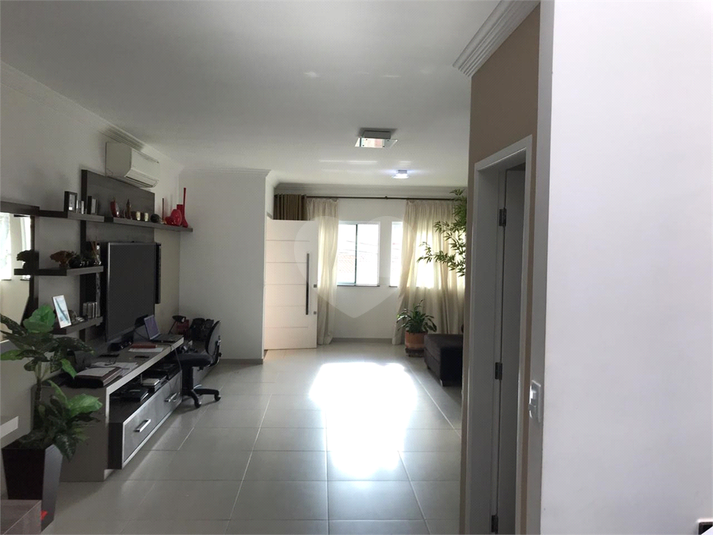 Foto REO370362