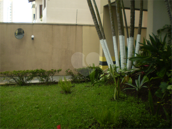 Foto REO370414