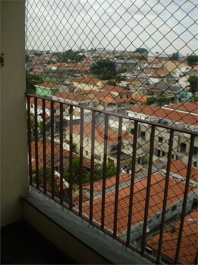 Foto REO370414