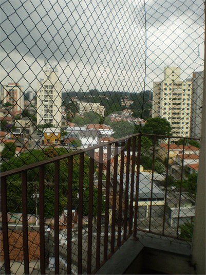 Foto REO370414