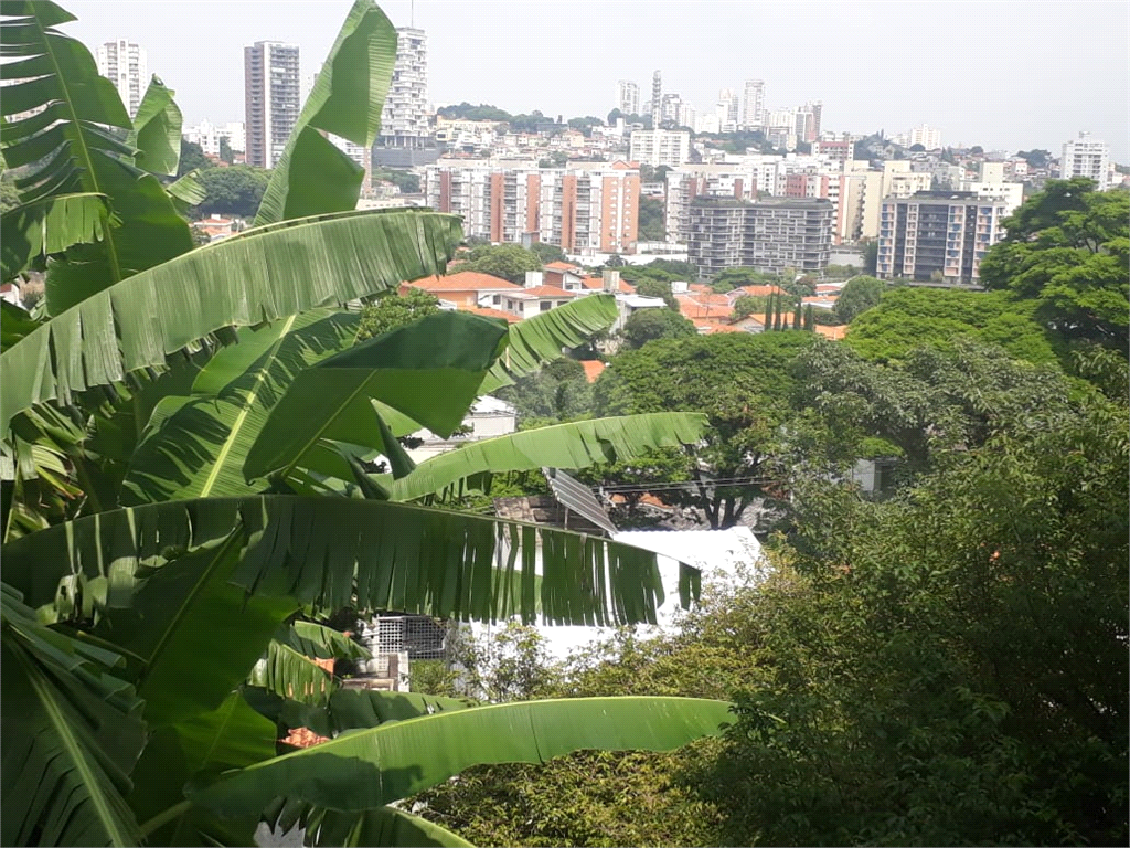 Venda Casa São Paulo Vila Romana REO370448 15