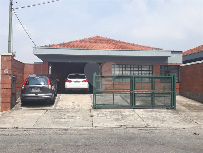 Foto REO370448