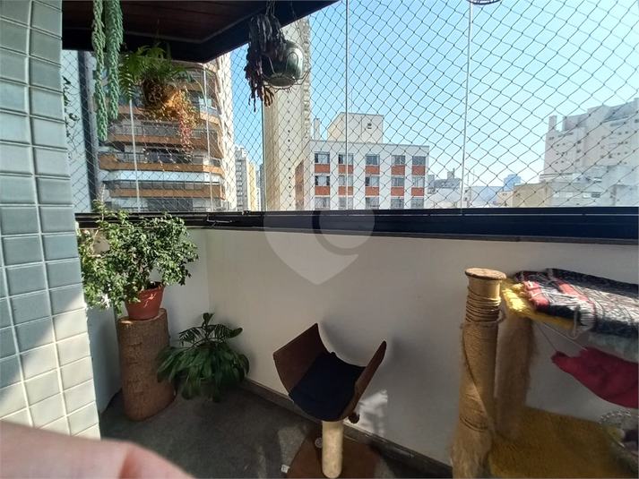 Foto REO370484