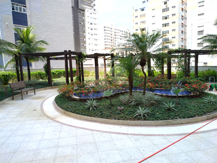 Foto REO370517