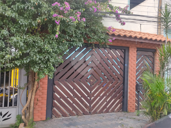 Foto REO370717