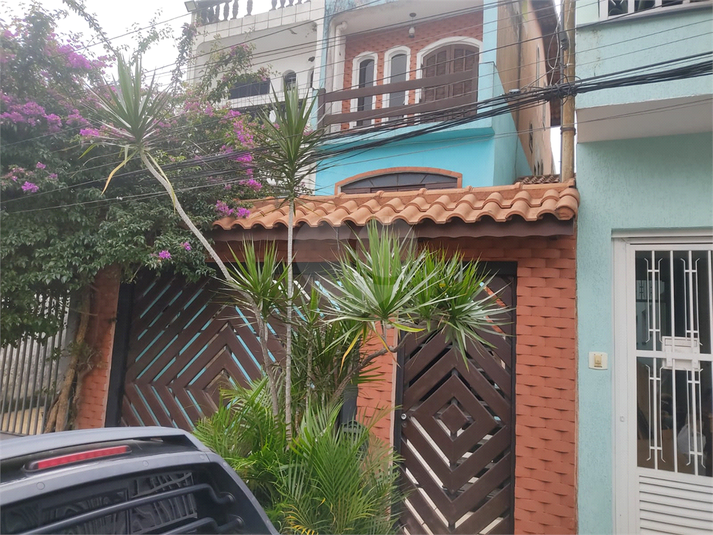 Foto REO370717