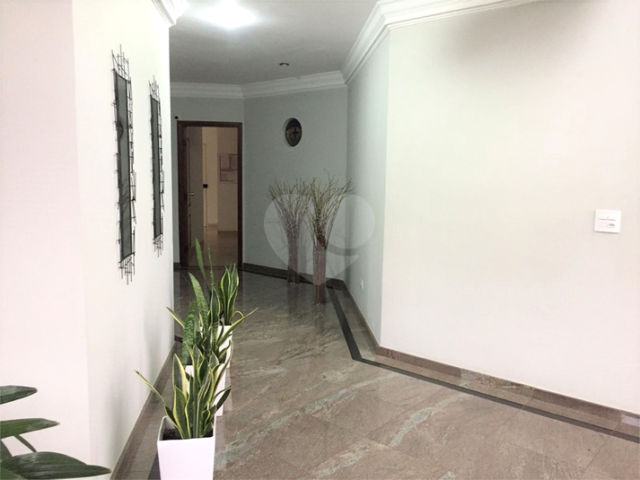 Foto REO37081