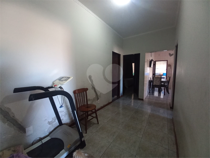 Foto REO371360