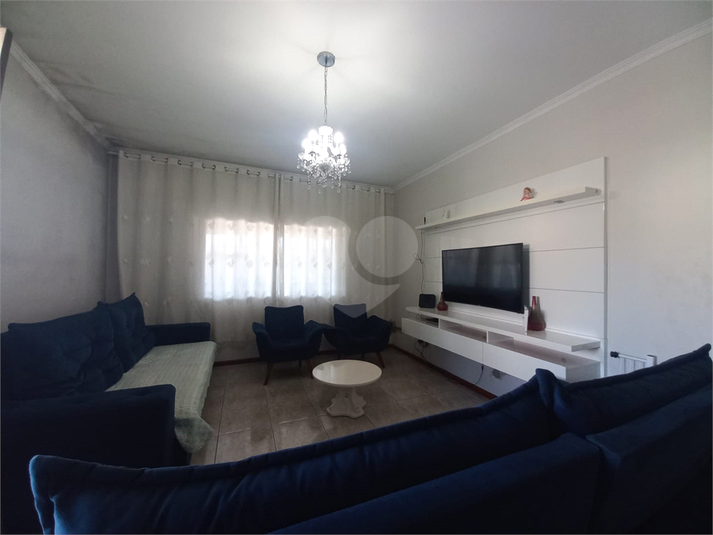 Foto REO371360