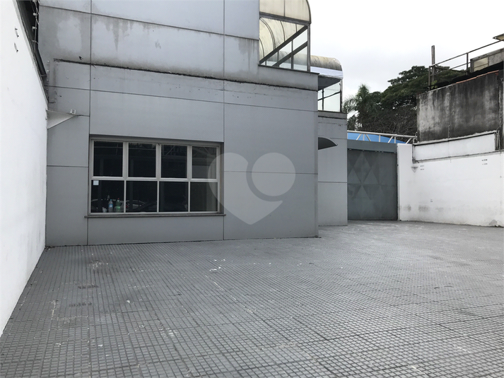 Foto REO371562