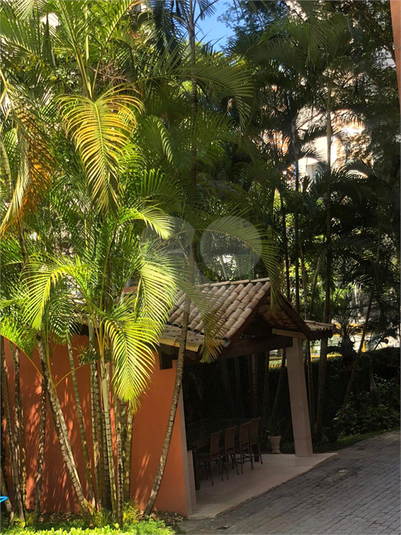 Foto REO371583