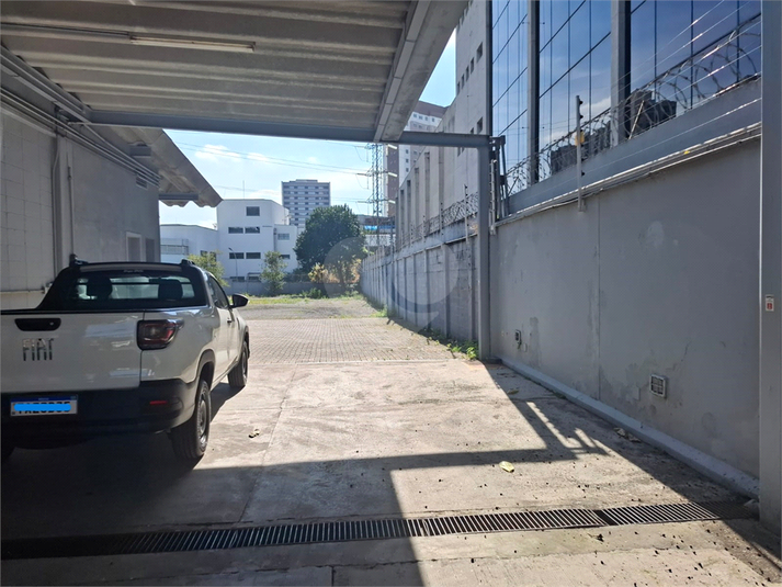 Foto REO371794