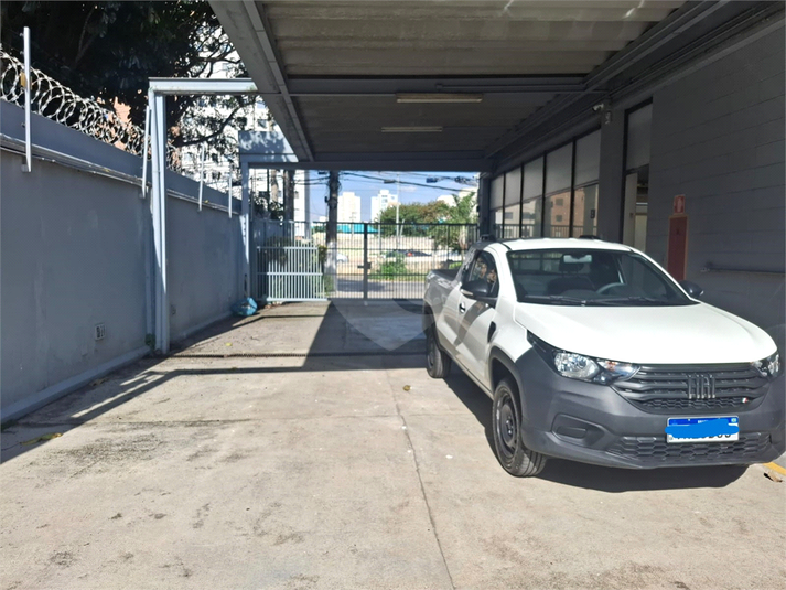 Foto REO371794