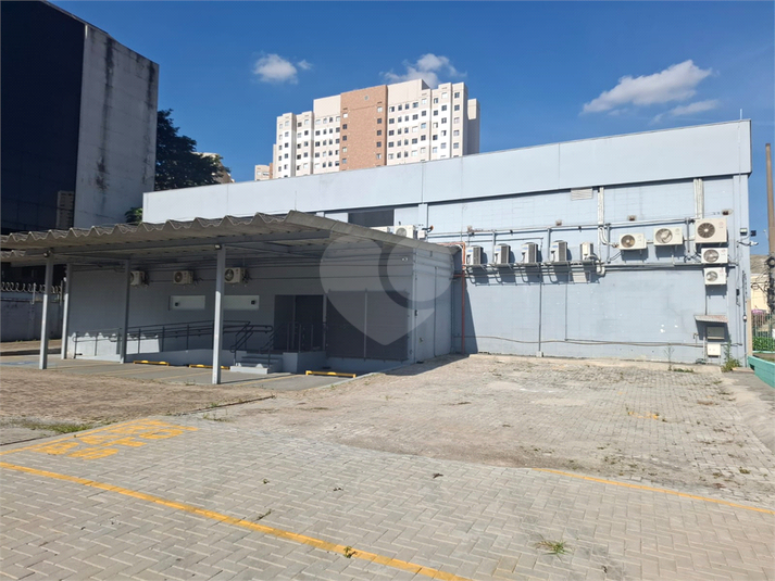 Foto REO371794