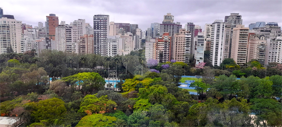 Foto REO371808