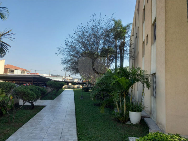 Foto REO372083