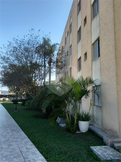 Foto REO372083