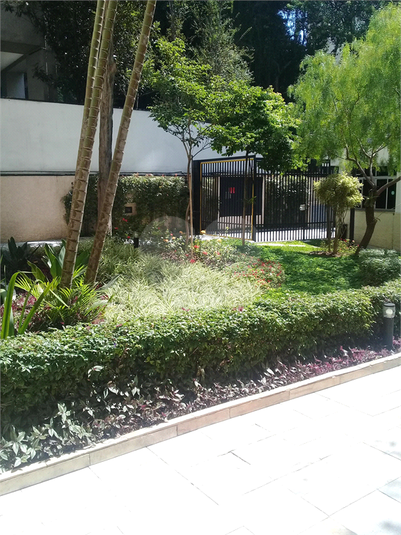 Foto REO372134