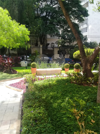 Foto REO372134