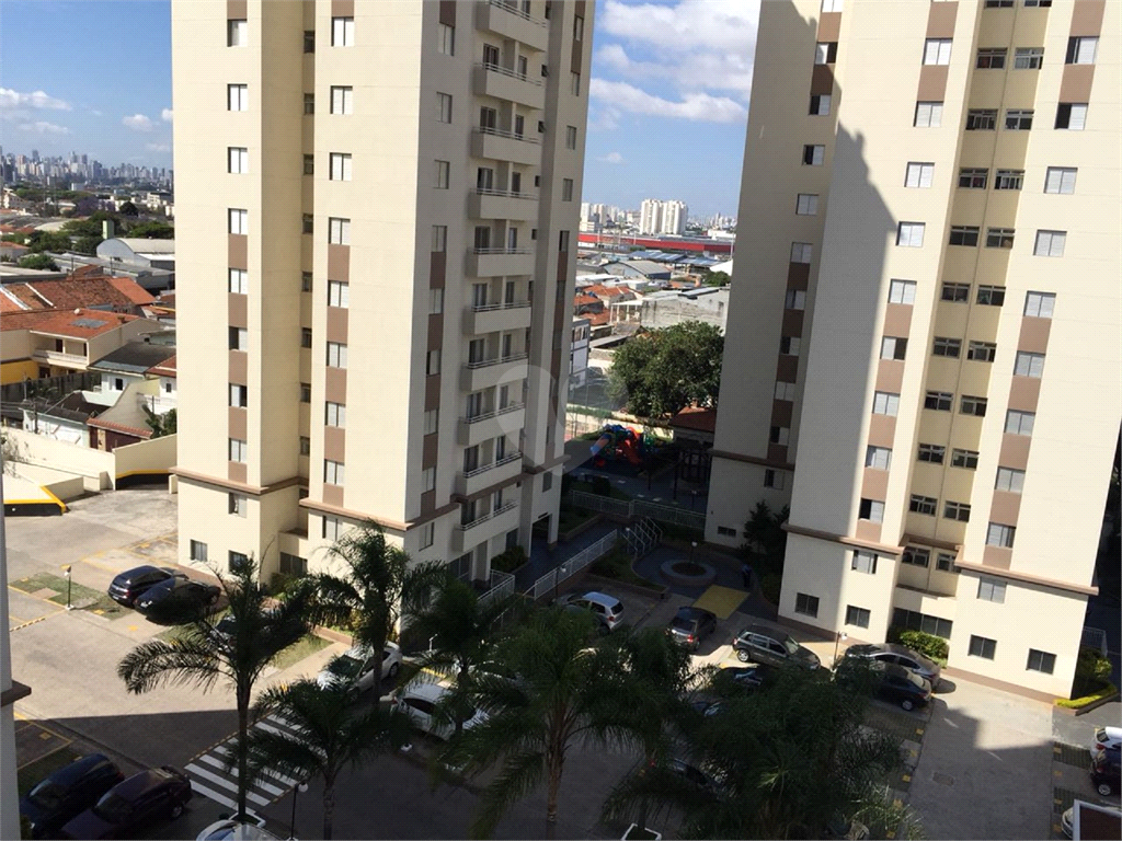 Venda Apartamento São Paulo Carandiru REO372296 30