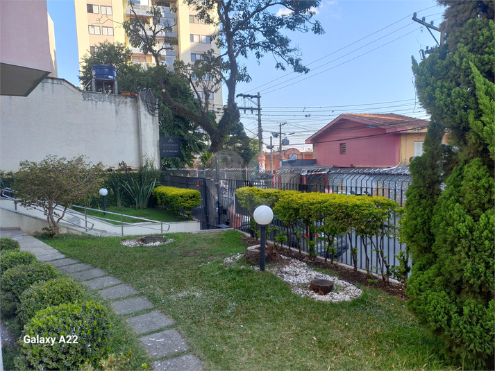 Foto REO372301