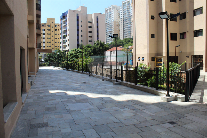 Foto REO37235