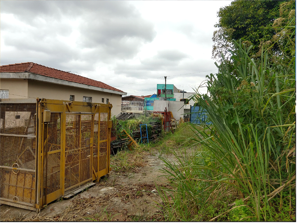 Venda Terreno São Paulo Vila Leonor REO372506 18