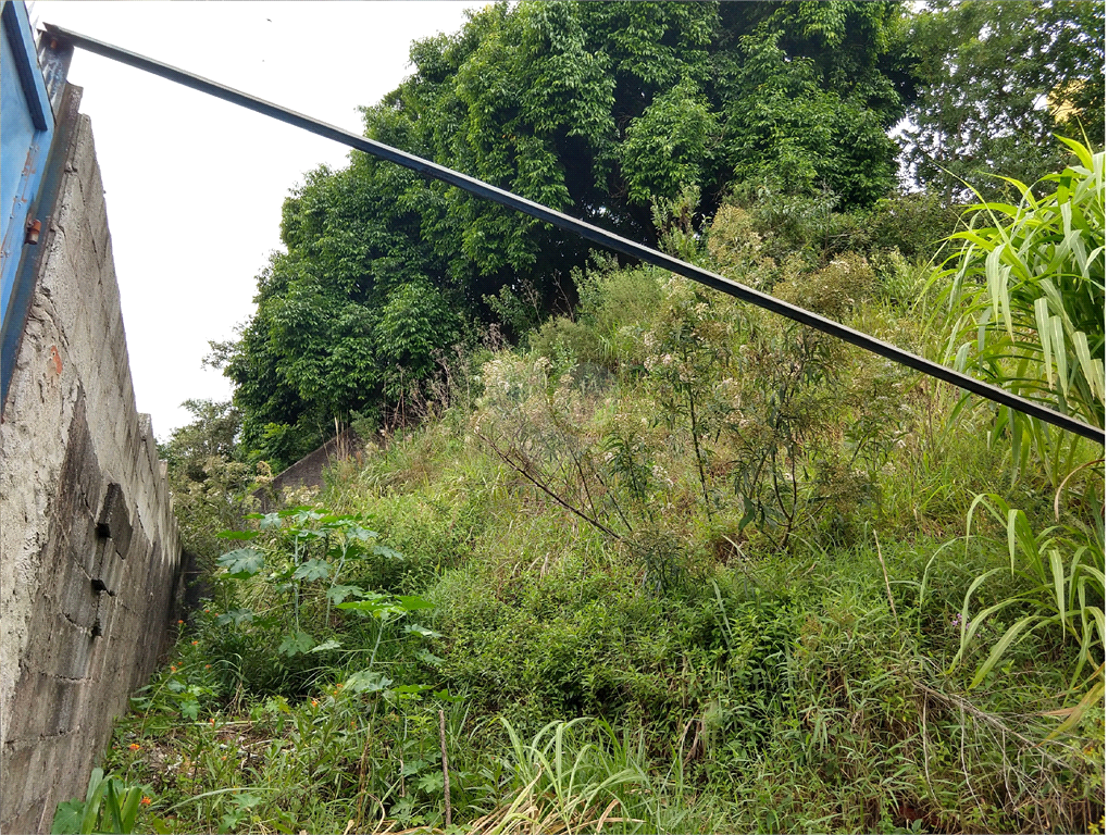 Venda Terreno São Paulo Vila Leonor REO372506 8