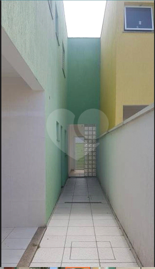 Foto REO372957