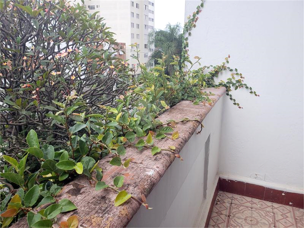 Venda Casa São Paulo Sumaré REO373271 16