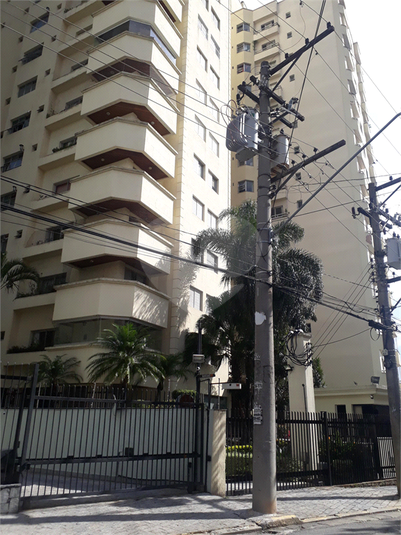 Foto REO373800