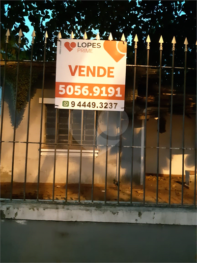 Foto REO373844