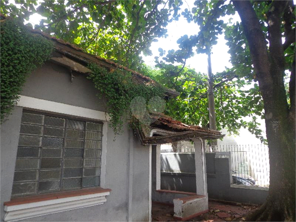 Venda Casa térrea São Paulo Brooklin Paulista REO373844 6