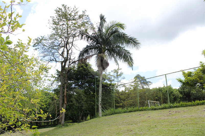 Foto REO373853